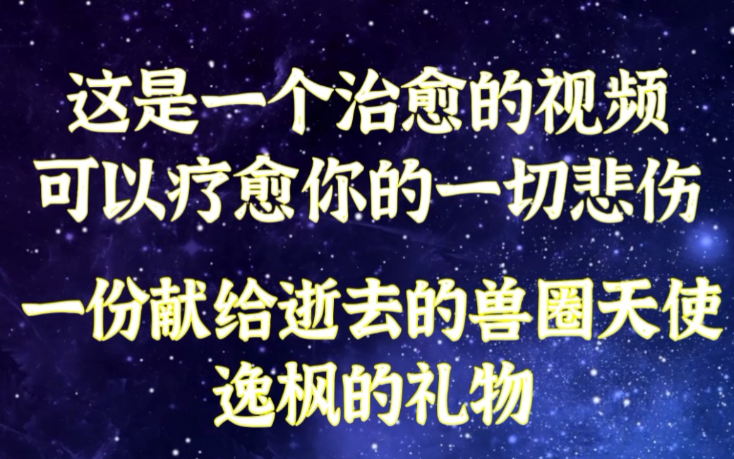 [图]【星愿】纪念一位逝去的逸枫小天使，逝去之人会化为星辰，但心诚祈愿心愿可达，希望可以治愈到你