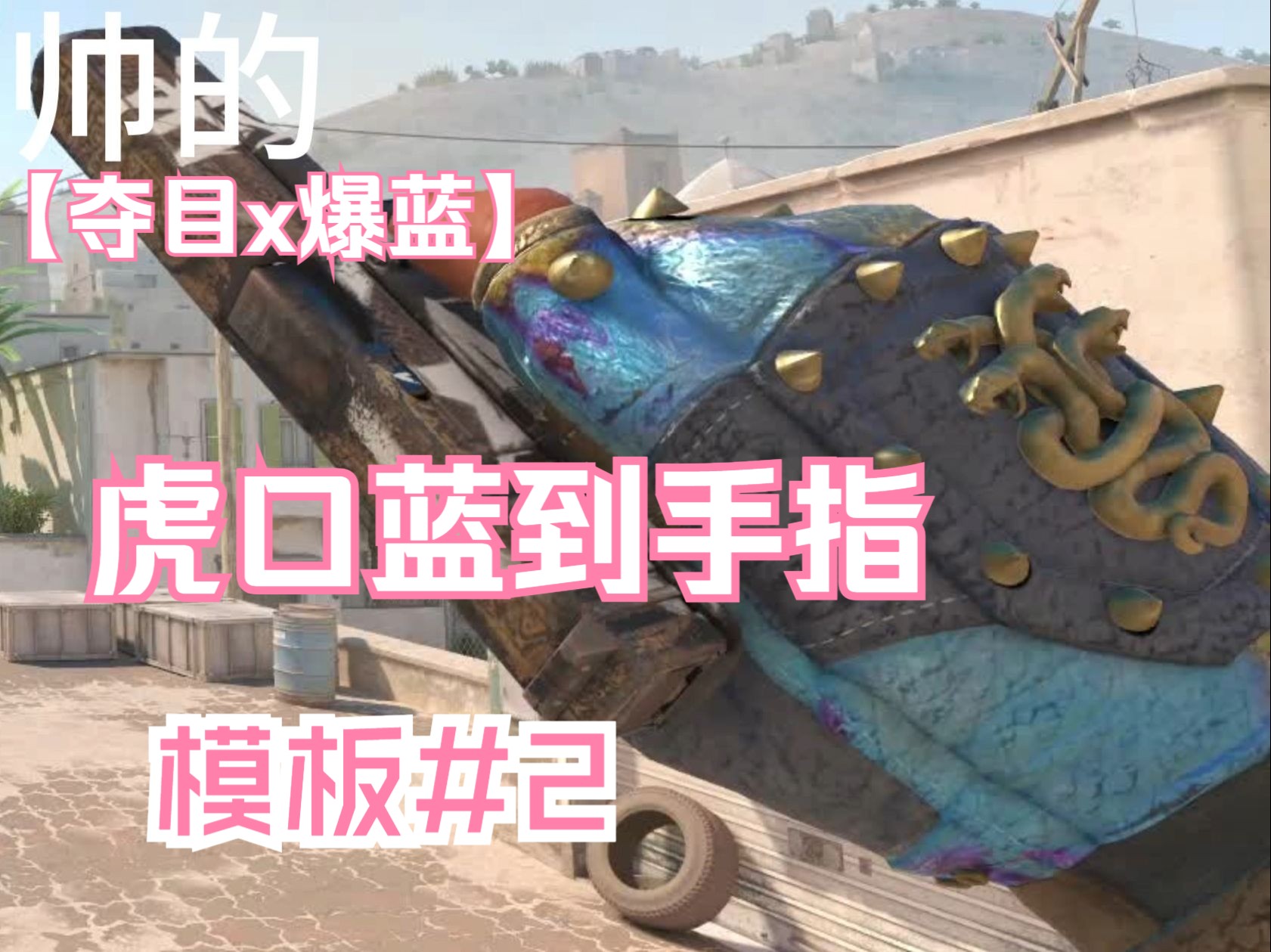 虎口到手指全蓝淬火,#2《zywoo军火铺》第三期3-1