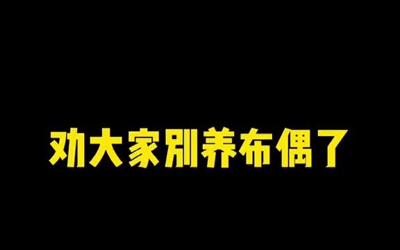 想问下大家这样的布偶猫可以退货吗?凭什么别人都是玻璃胃,就我是钢化玻璃𐟘🥓”哩哔哩bilibili