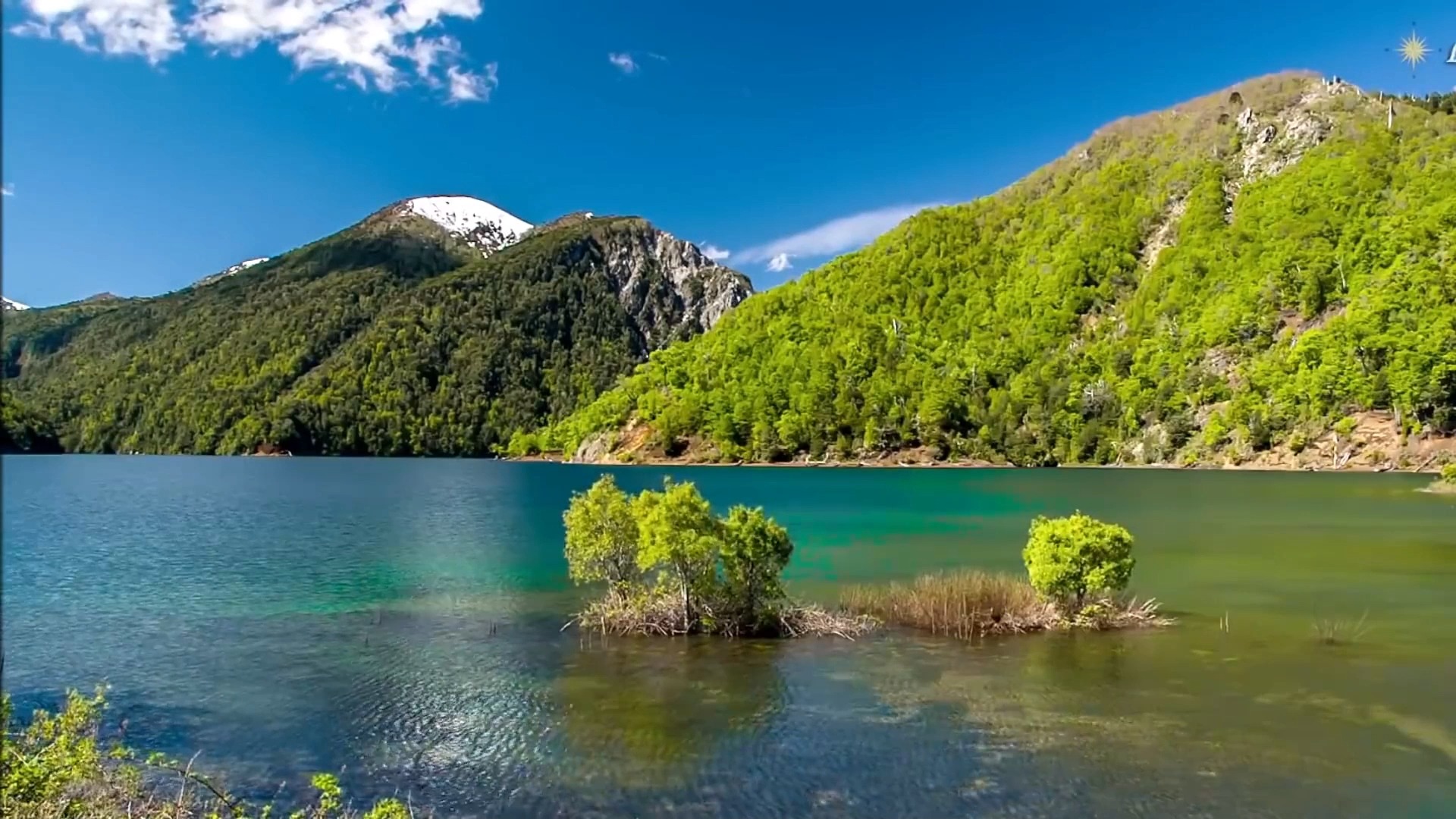 美好风景,一起欣赏