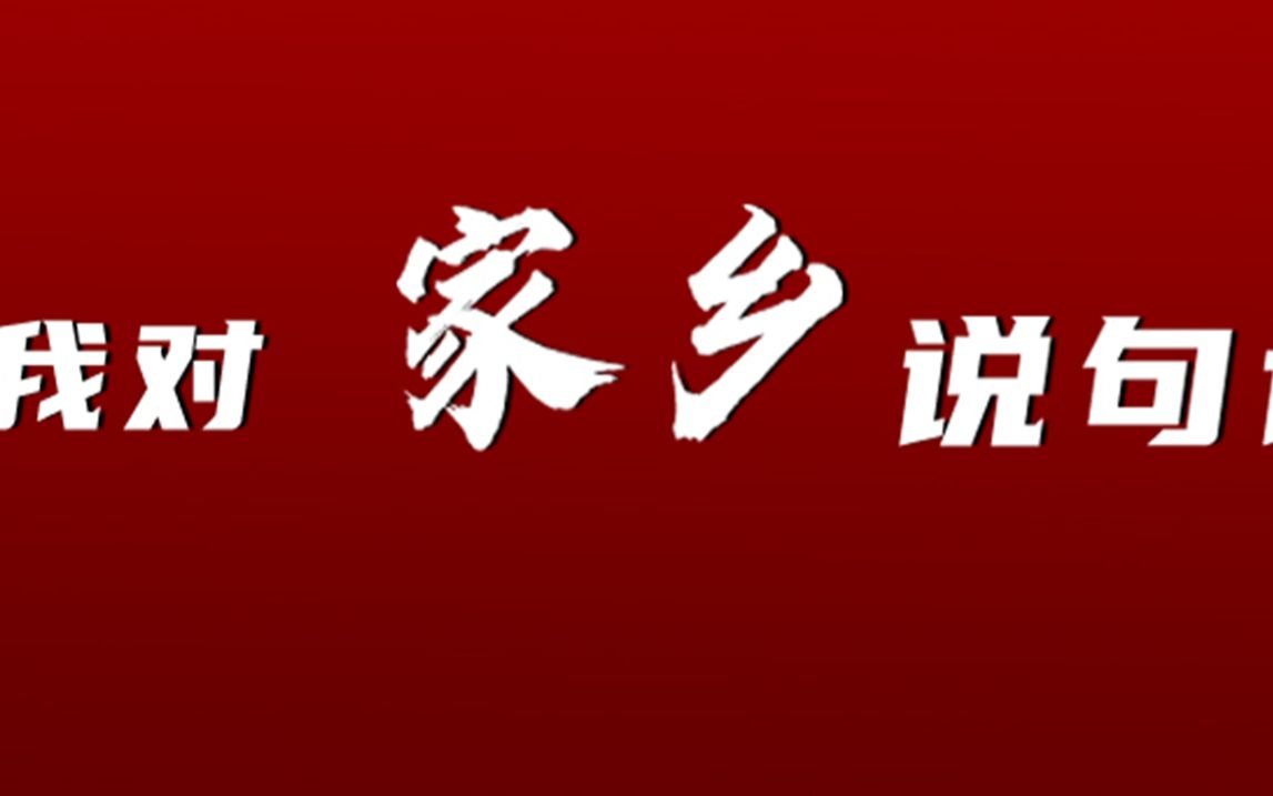 我對家鄉說句話廣東嘉興成都上海蘭溪商會對家鄉的祝福