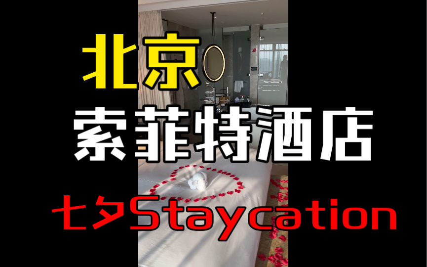 七夕去哪儿玩儿?北京索菲特酒店staycation哔哩哔哩bilibili