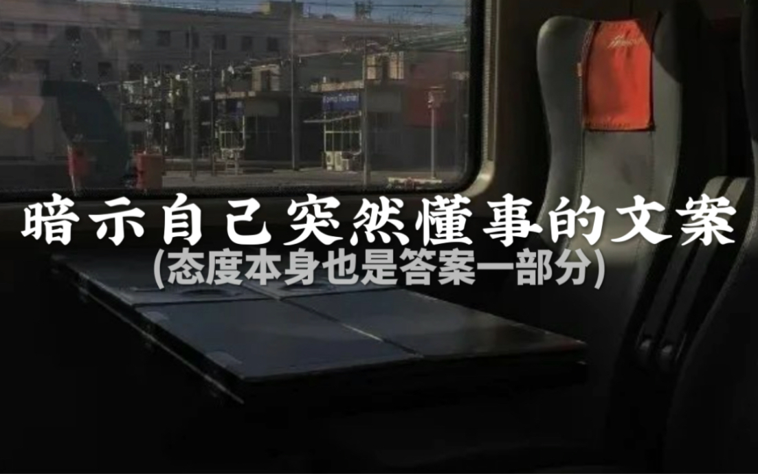 “你所看到的所有的惊鸿 都曾被平庸磨练”||暗示自己突然懂事的文案哔哩哔哩bilibili