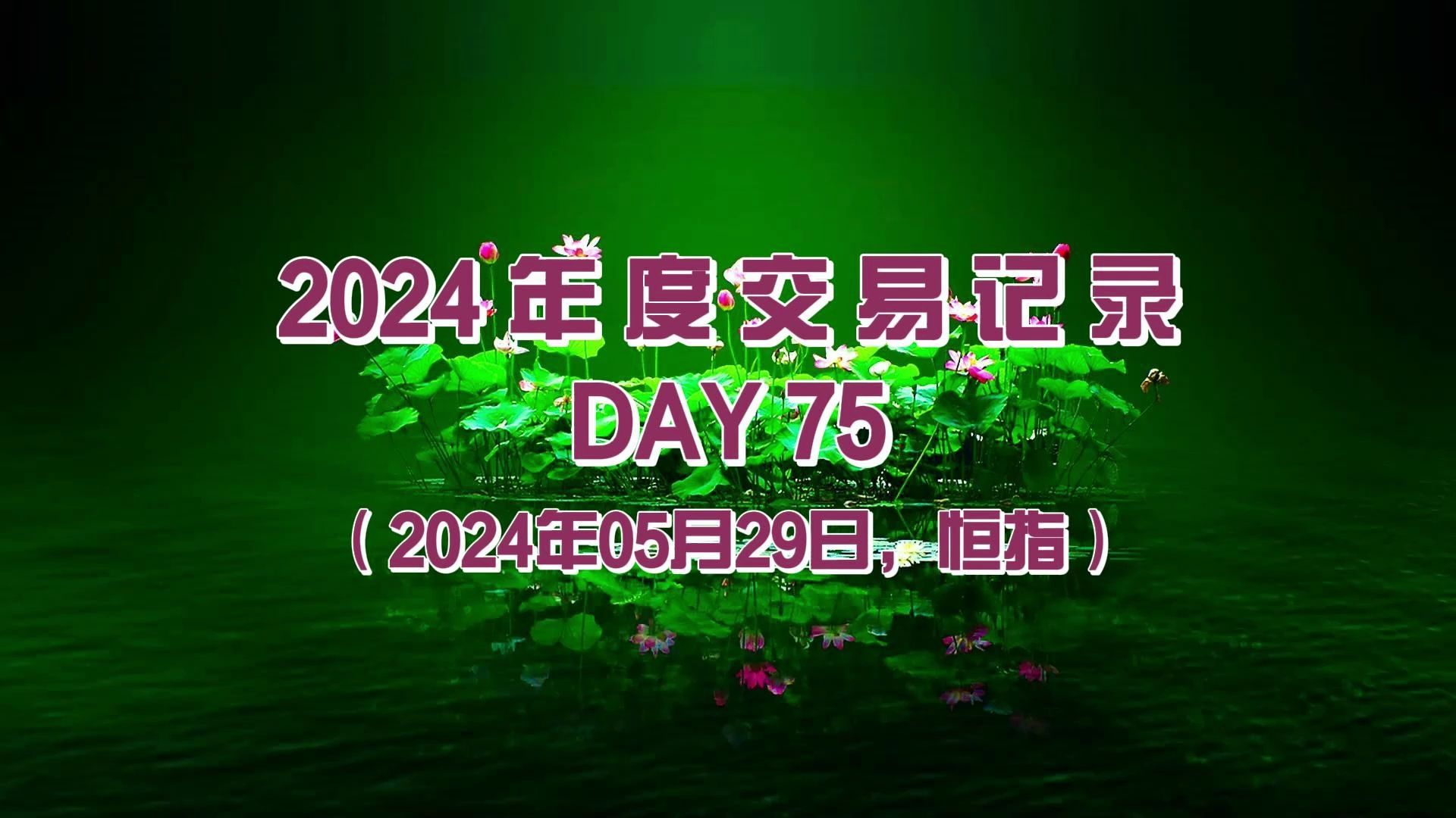 2024年度交易与生活记录DAY75(2024年05月29日,恒指)上火或舒坦哔哩哔哩bilibili