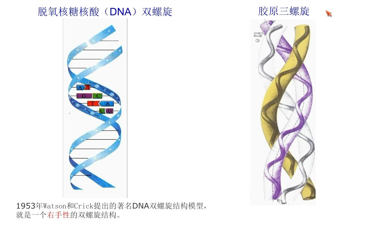 分子的手性及ee值、de值计算方法哔哩哔哩bilibili