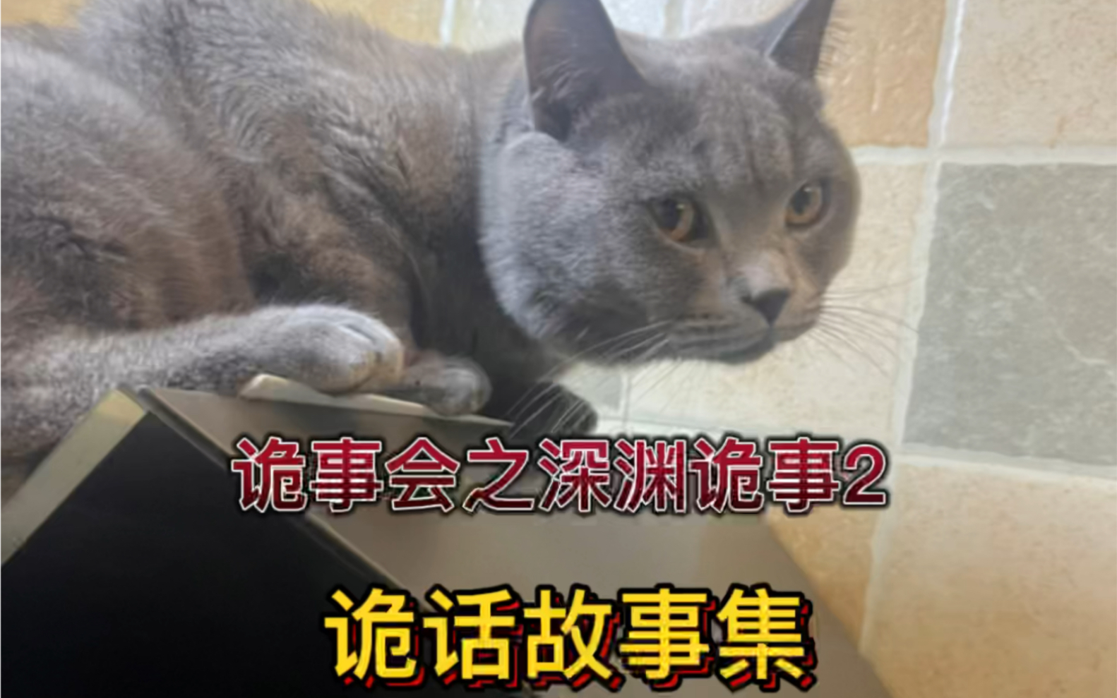 诡事会之深渊诡事2,!男主是个倒霉蛋,遇到了许多稀奇事