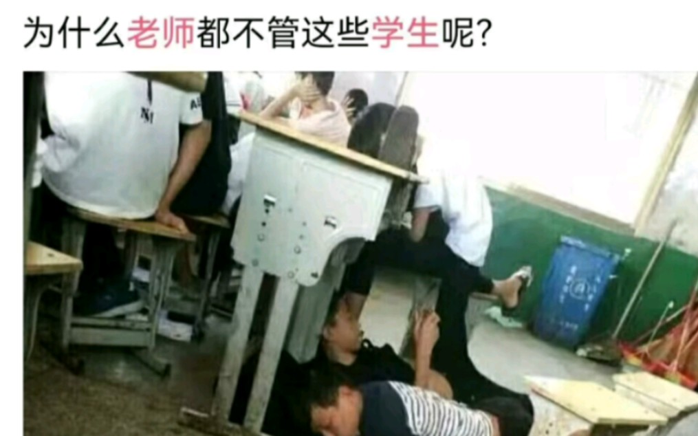 网络上的爆笑吊图《312》哔哩哔哩bilibili