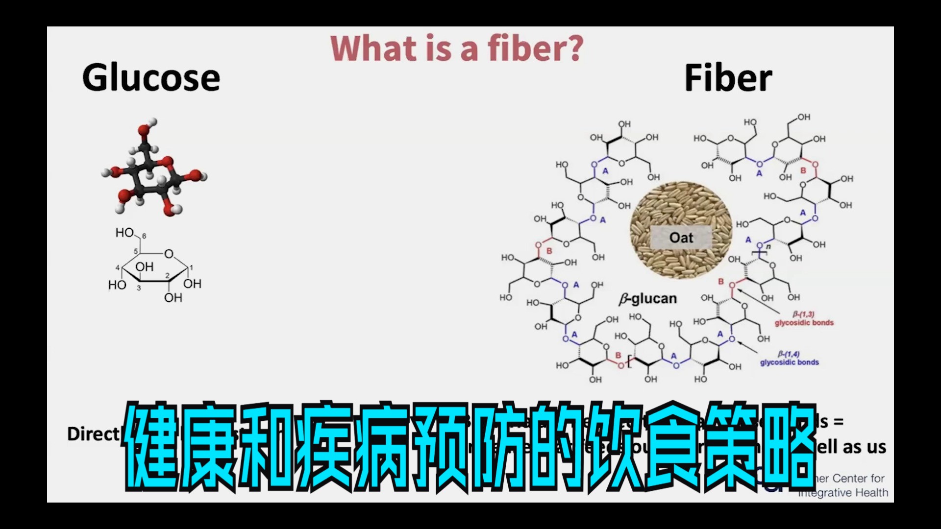 喂养您的微生物组:健康和疾病预防的饮食策略【中英字幕】哔哩哔哩bilibili