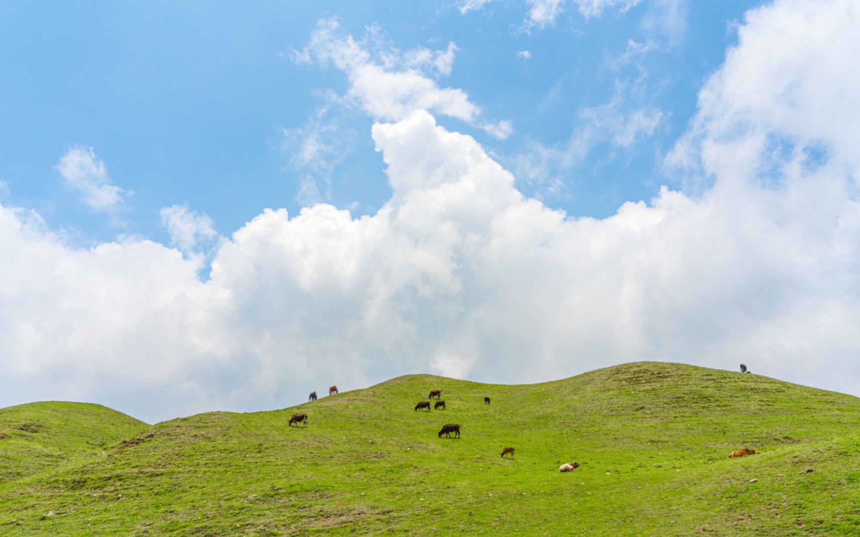 是谁五一旅游的照片还没发完|南山牧场