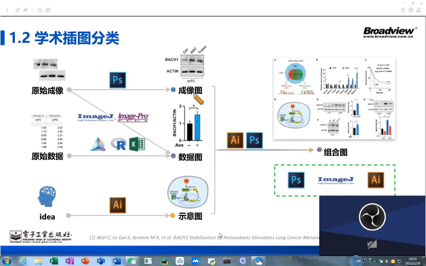 学术图表制作哔哩哔哩bilibili