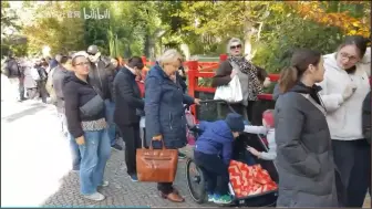 Скачать видео: 【德国：10月16日起，大熊猫幼崽对外展出。果然是吸睛神器，排队将近2里地（俄通社帮我们数人头）】幼崽半岁多才展出，确实太浪费。应该创造条件，让大家