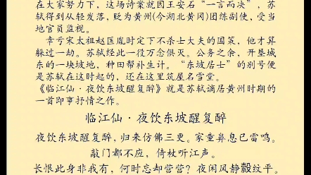 小舟从此逝,江海寄余生——读到此真的应了我老师的那句话,语文的魅力,只有当你不学它的时候才会发现它的美哔哩哔哩bilibili