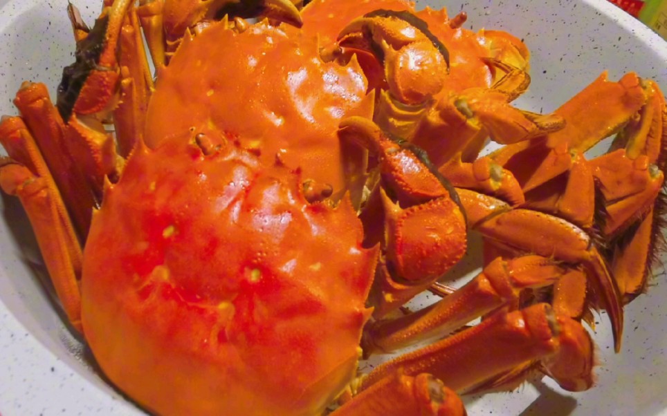 秋日美食大闸蟹