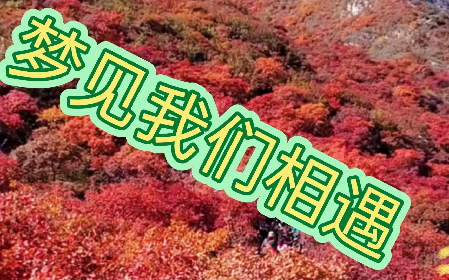 [图]秋天的枫叶🍁万山红遍，层林尽染!