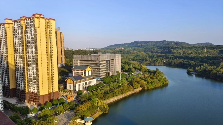 青湖美景 南宁青湖中心 21楼某办公区 阳台拍的美景!
