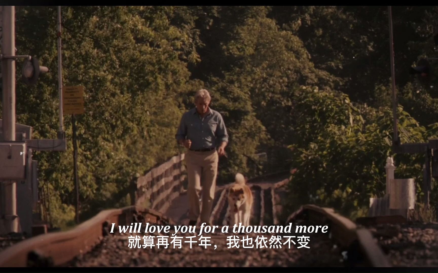 电影混剪生与死的距离对于一条狗来说它无法参透它只相信他的主人会