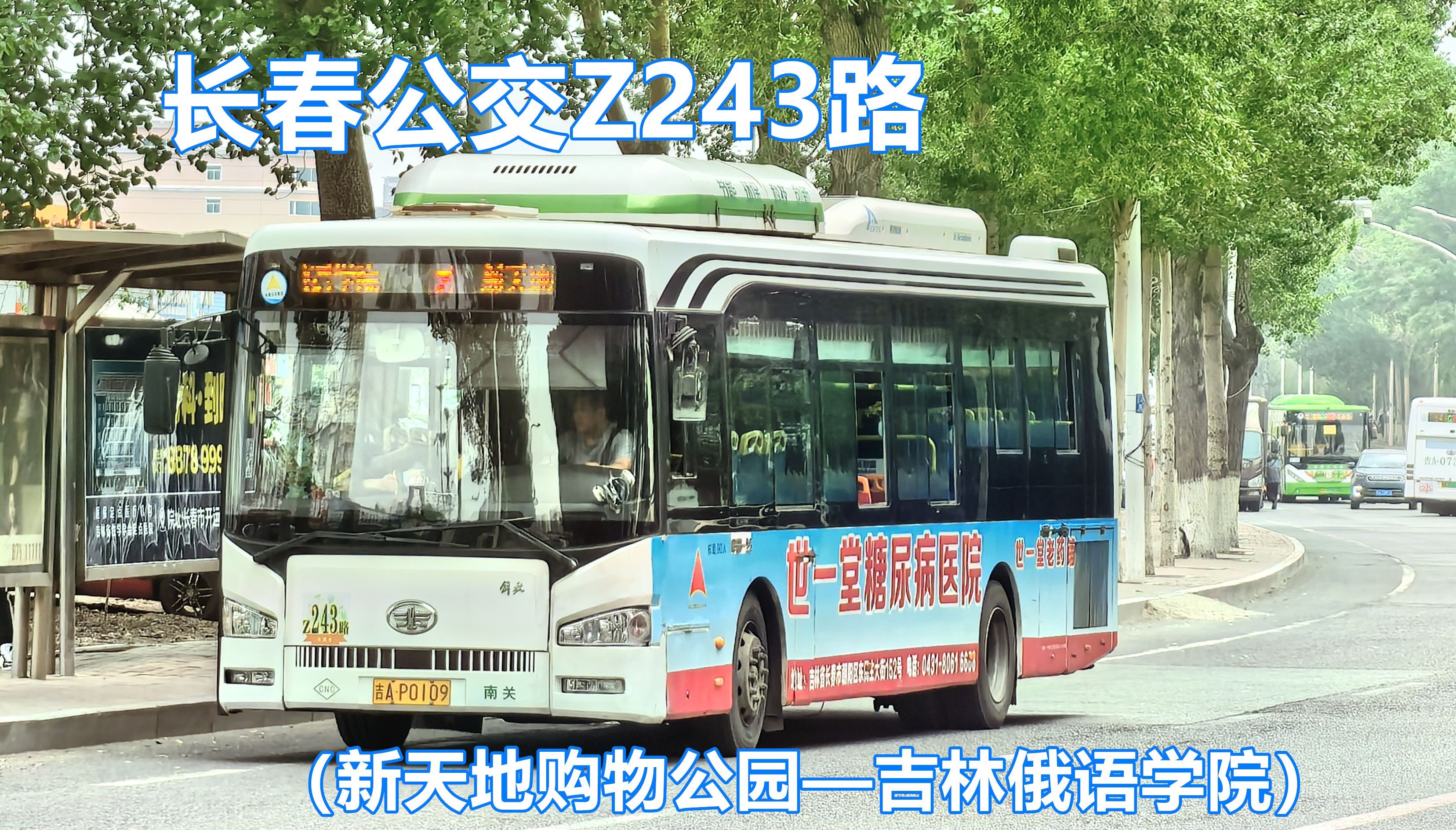 长春公交Z243路(新天地购物公园——吉林俄语学院)第一视角POV哔哩哔哩bilibili