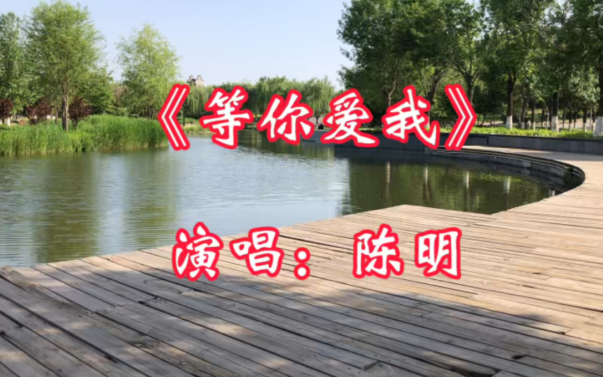 90年代经典影视插曲《等你爱我》,陈明演唱