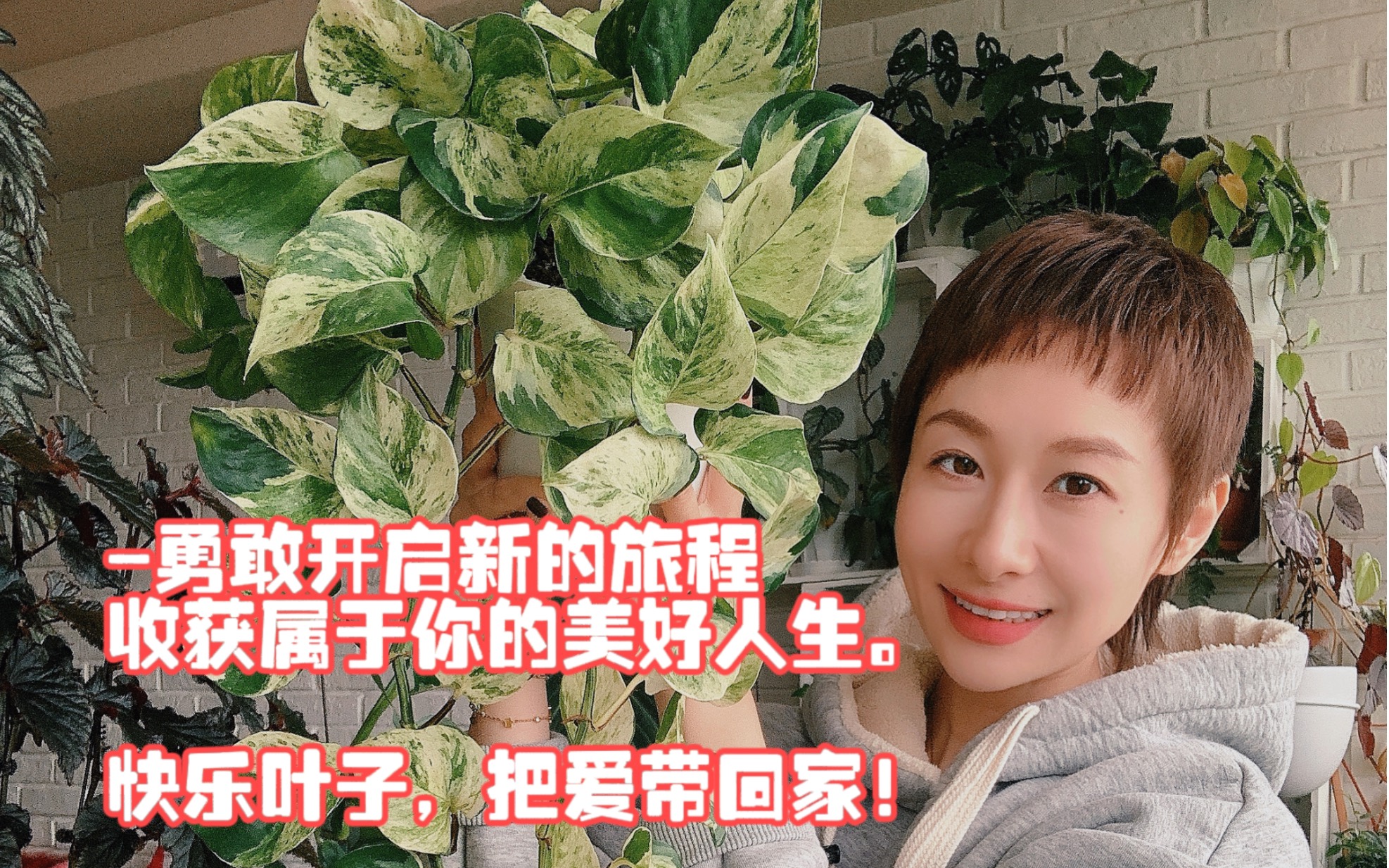 家居绿植推荐/快乐叶子/绿植养护哔哩哔哩bilibili