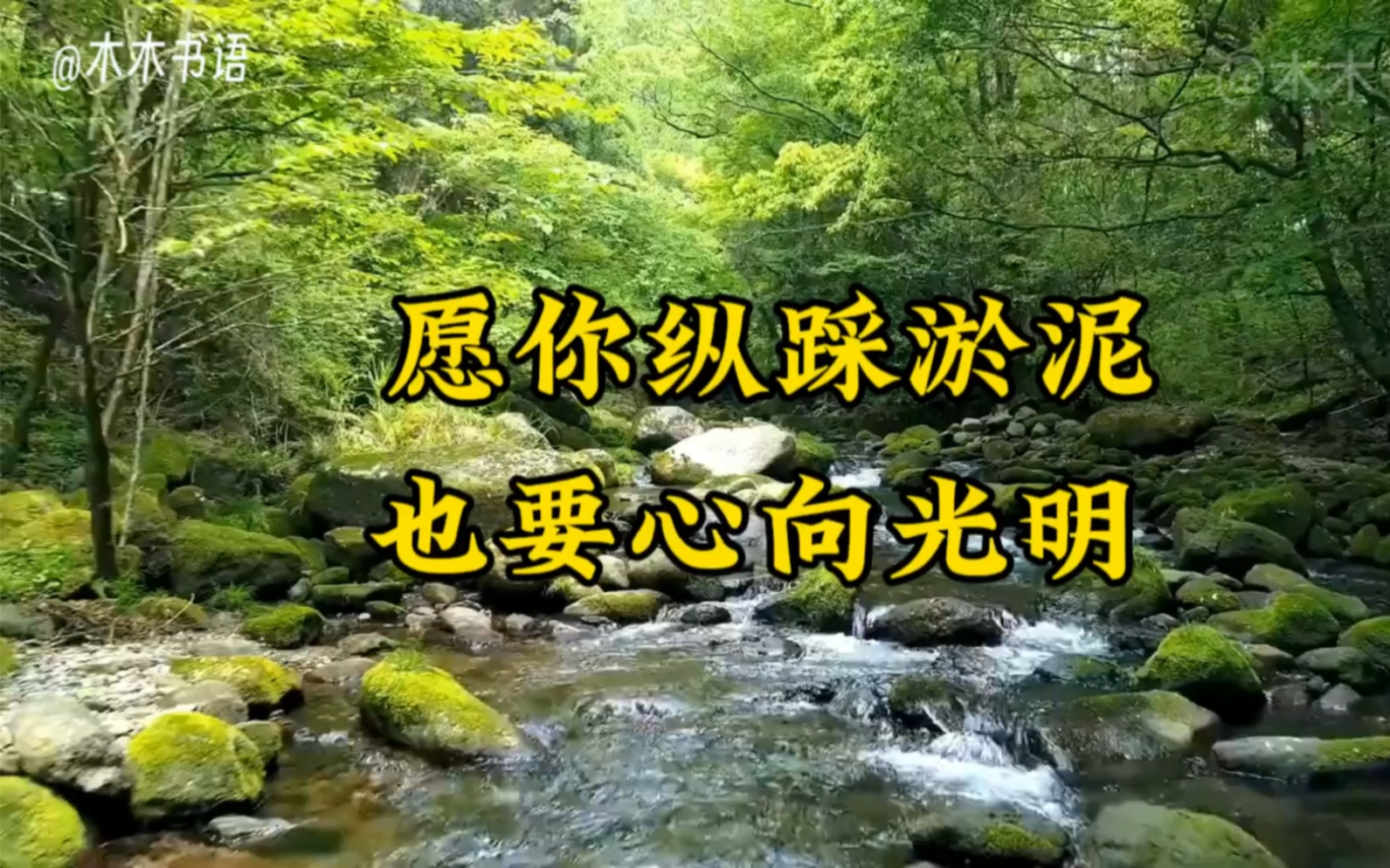 愿你纵踩淤泥,也要心向光明
