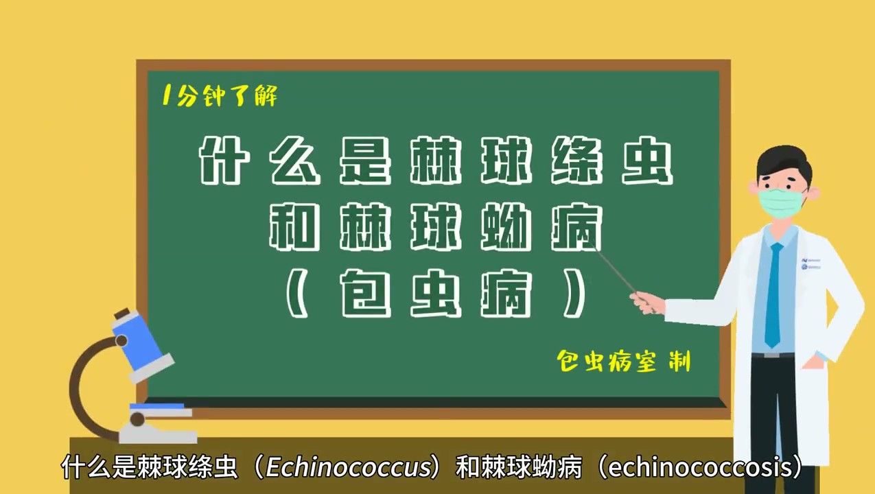 1分钟了解什么是棘球绦虫和棘球蚴病(包虫病)——寄生虫病预防控制所哔哩哔哩bilibili