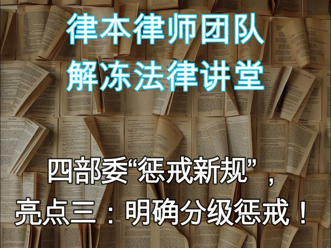 四部委“惩戒新规”,亮点三:明确分级惩戒哔哩哔哩bilibili