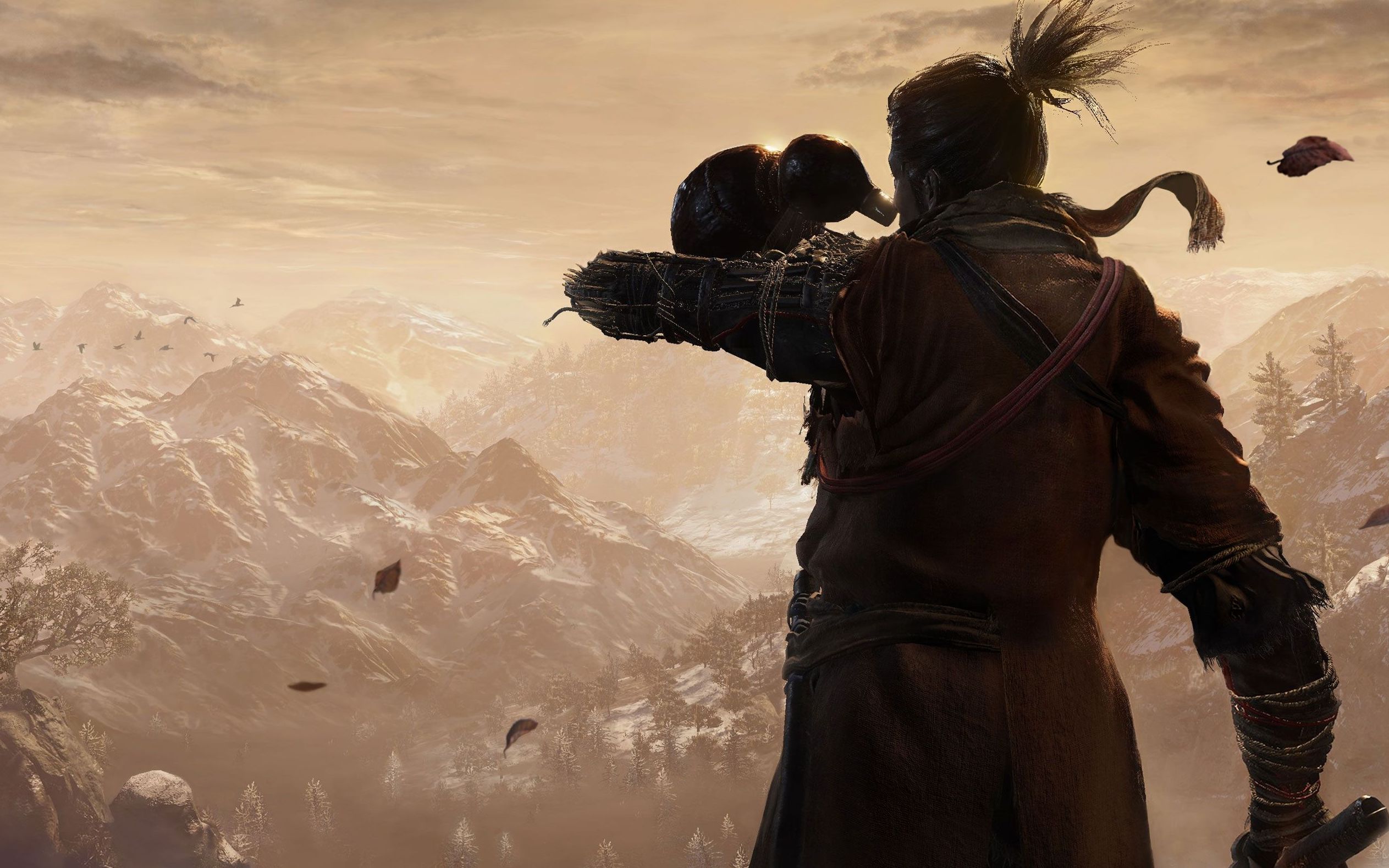 只狼2周目龙之还乡全boss无邪道伪速通