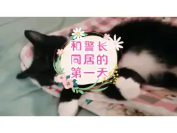 Download Video: Vlog之我和河师大的延毕学长同居了？！