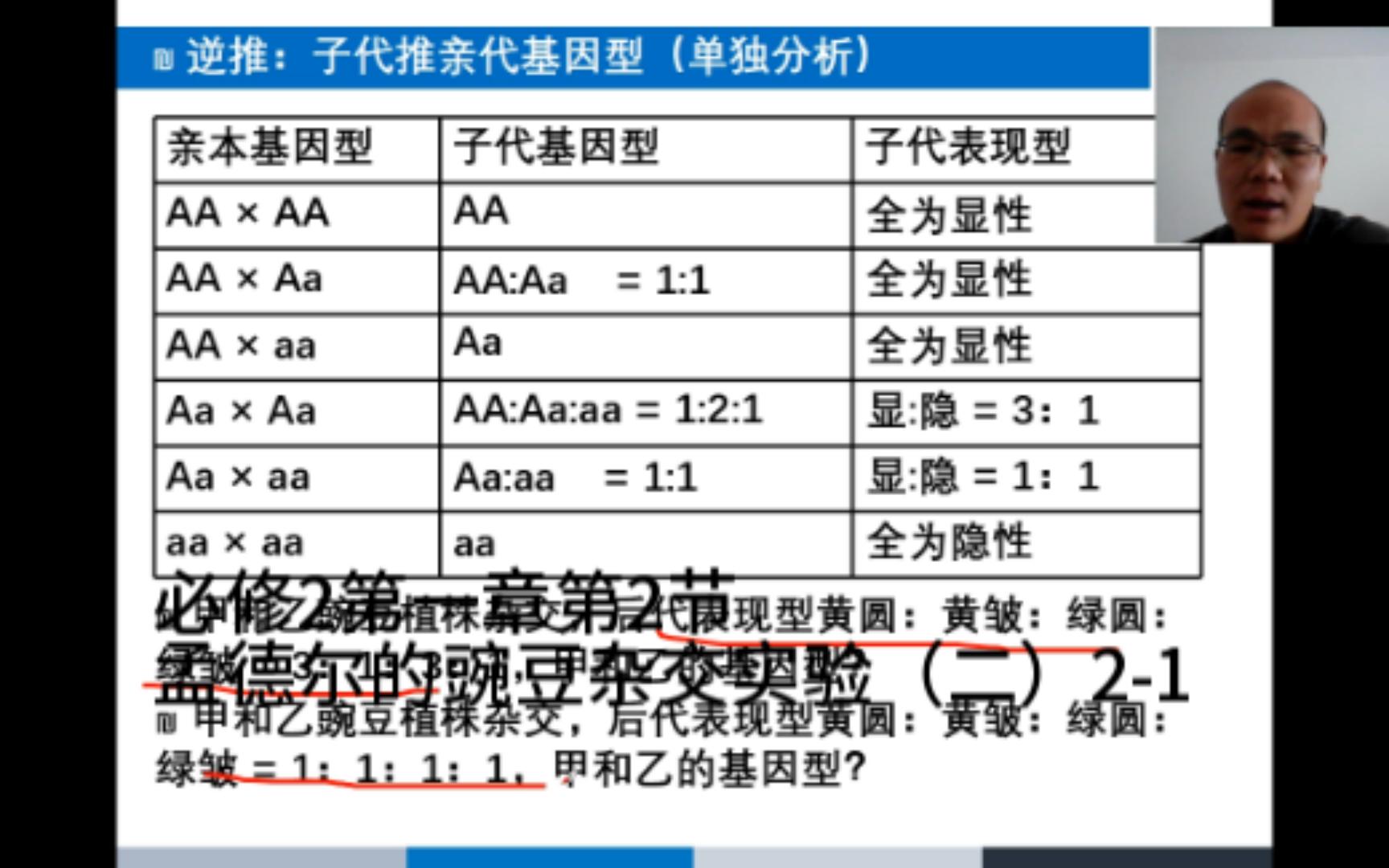 [图]必修2第一章第2节 孟德尔的豌豆杂交实验（二）2-2