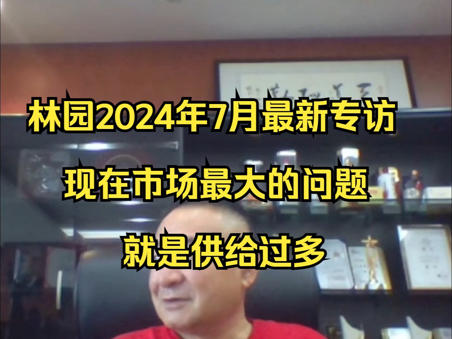 林园2024年7月最新专访:现在市场最大的问题就是趋势和供给过多哔哩哔哩bilibili