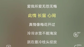 [图]一剪梅DJ辉总-王心雅