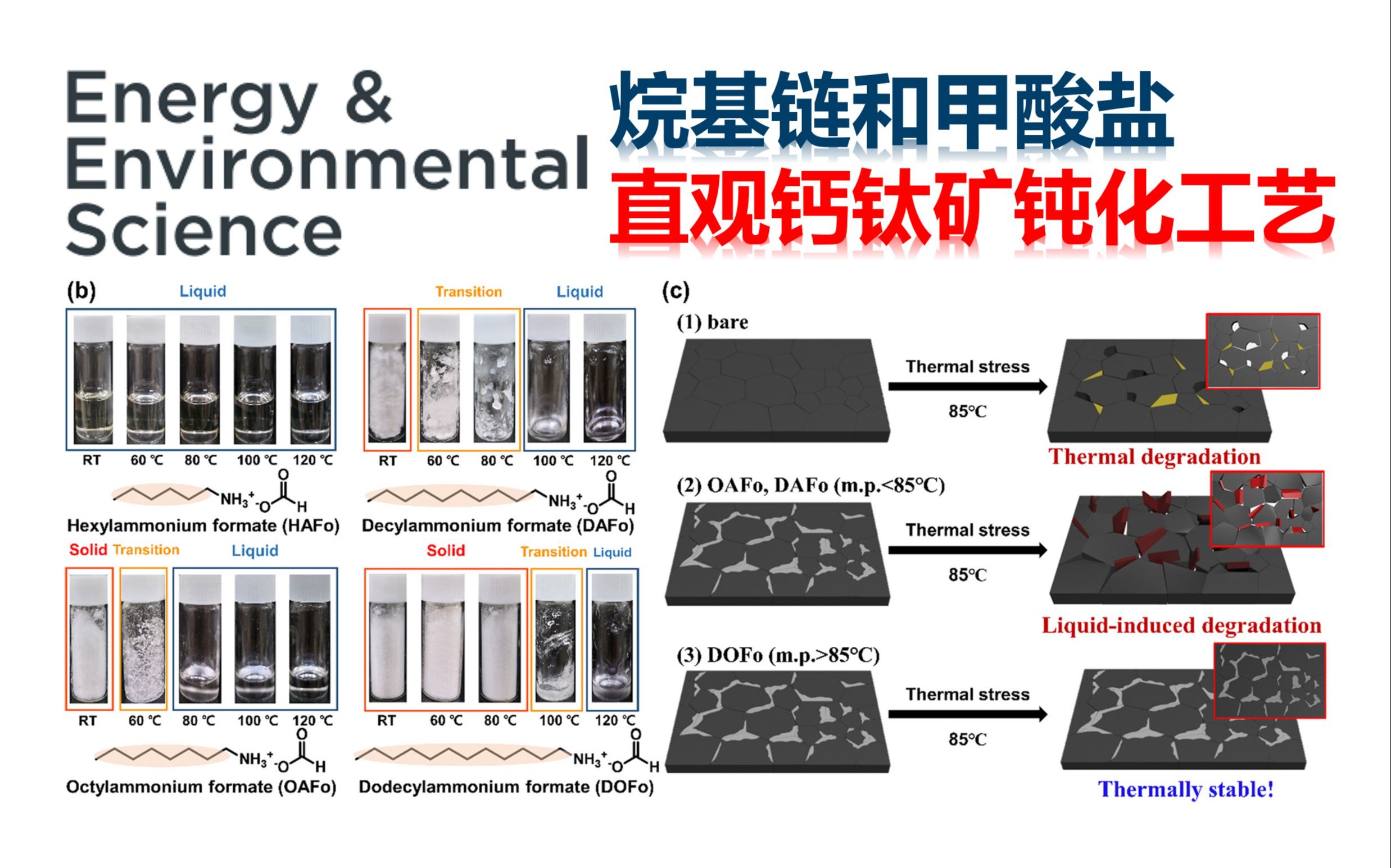 一个直观的表面钝化:甲酸盐伪卤素 + 烷基链调物性【Energy & Environmental Science】哔哩哔哩bilibili