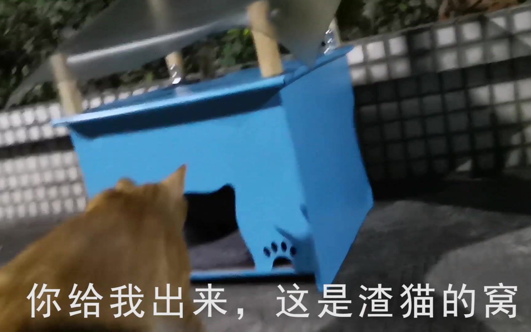 给“渣”猫一个窝(校园流浪猫猫屋设计)哔哩哔哩bilibili