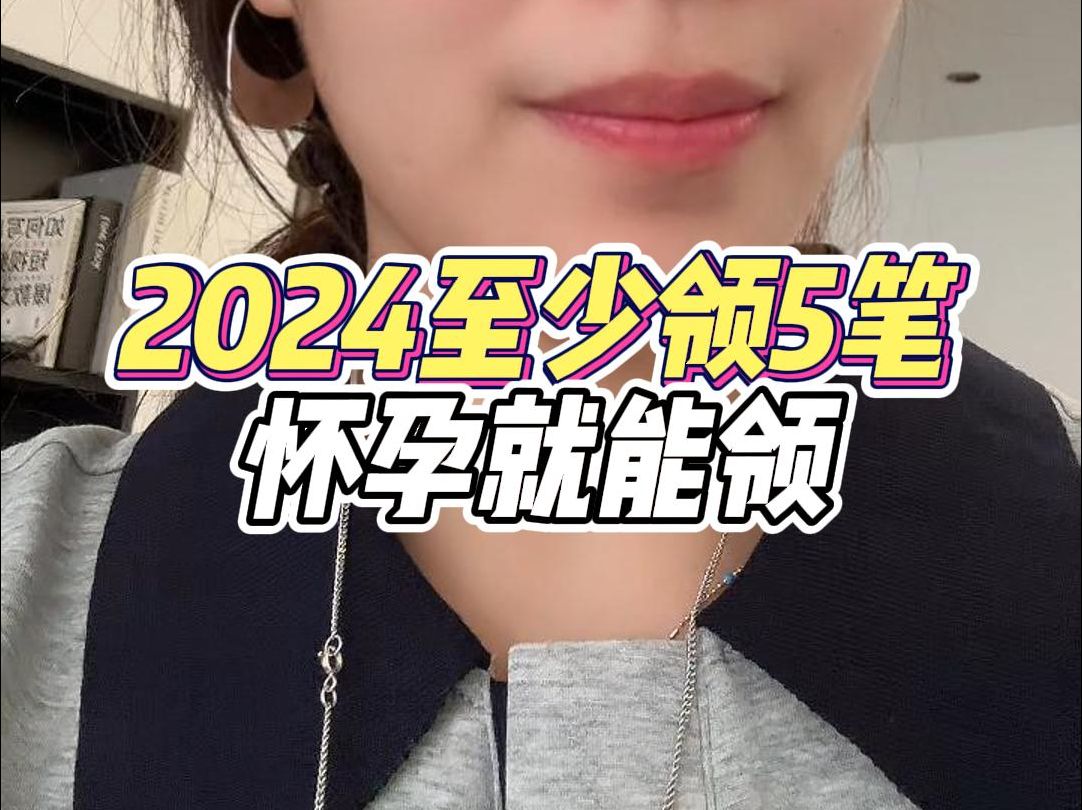 2024怀孕必领津贴哔哩哔哩bilibili