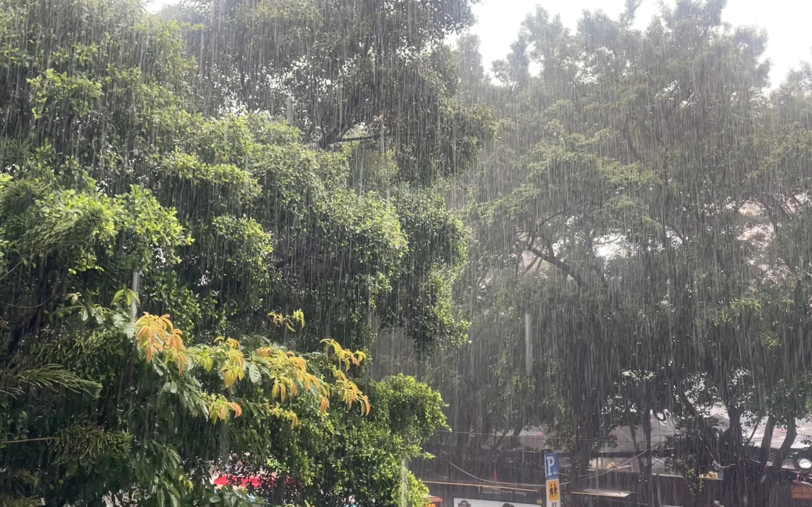 [图]下雨天的周末；为什么受伤的总是我