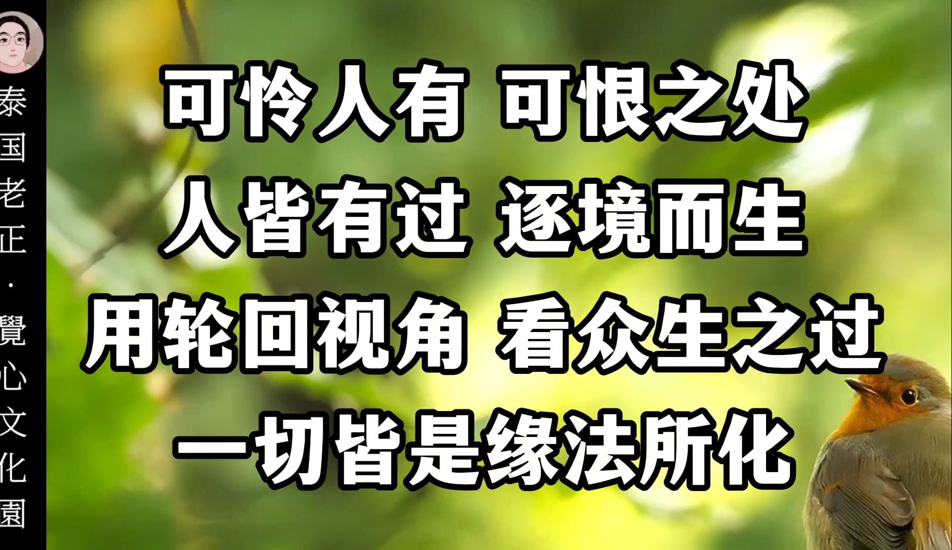 可怜人有 可恨之处,人皆有过 逐境而生用轮回视角 看众生之过,一切皆是缘法所化哔哩哔哩bilibili