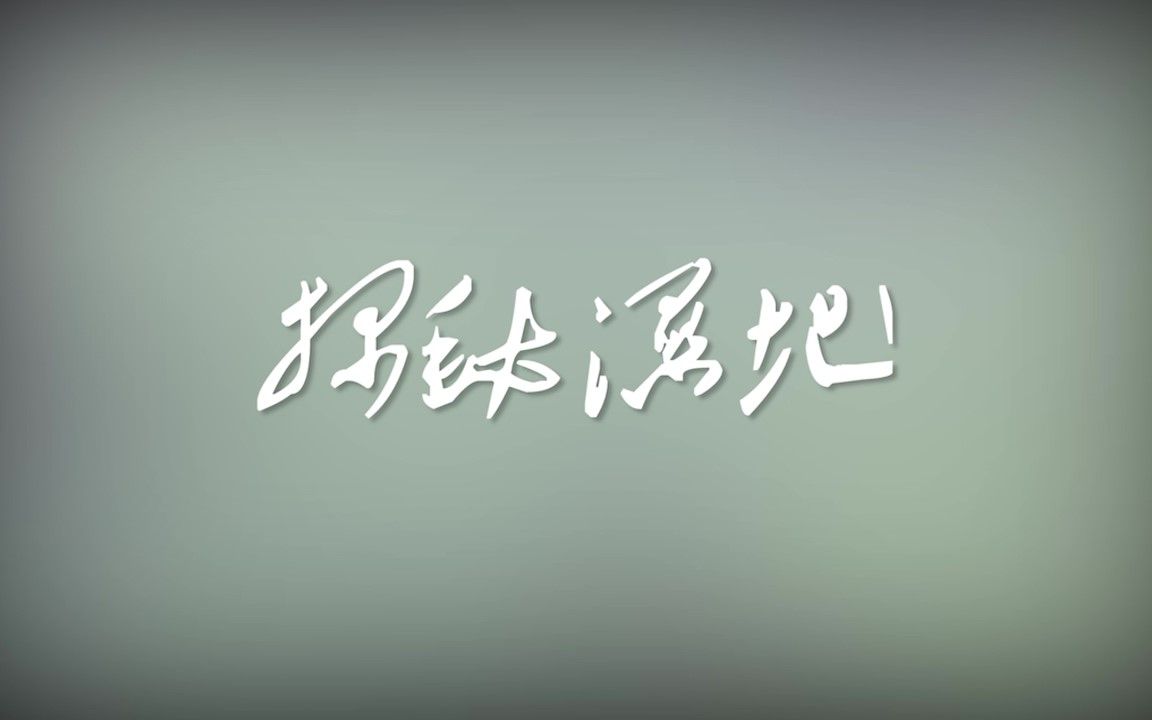 探秘湿地哔哩哔哩bilibili