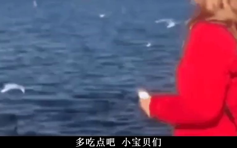 [图]请问兄台 刚才是你咬我吗？