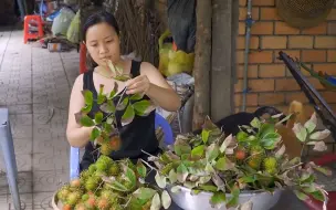 Download Video: 爬上屋顶去摘点毛荔枝，这种“荔枝”也是很好吃的！