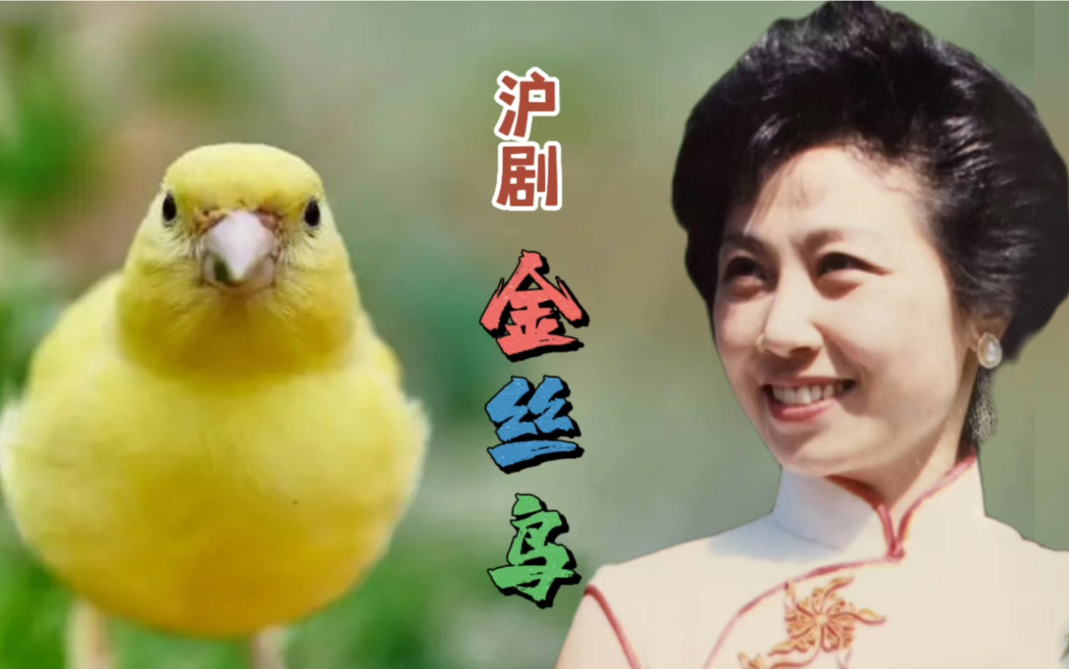 向沪剧名家茅善玉老师学唱她的成名曲《金丝鸟》请欣赏!