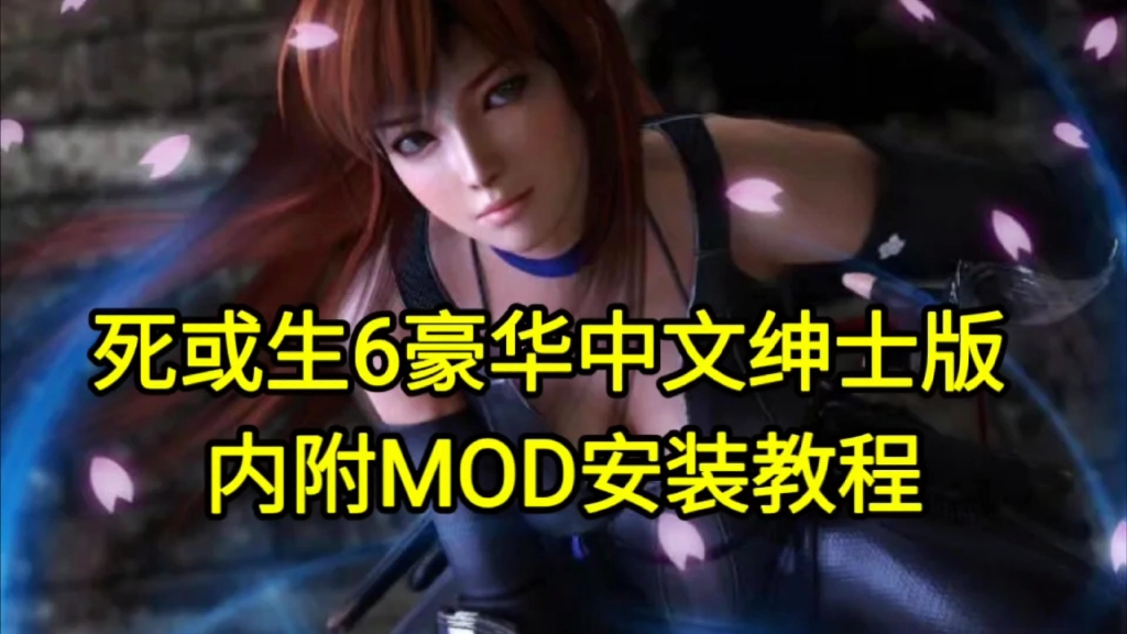 [图]生或死6 终极mod版 服装全解锁 中文 全DLC， 绅士版 内附MOD安装教程