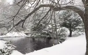 Download Video: 【白噪音】8小时大雪落在湖面上|助眠，学习，冥想，放松