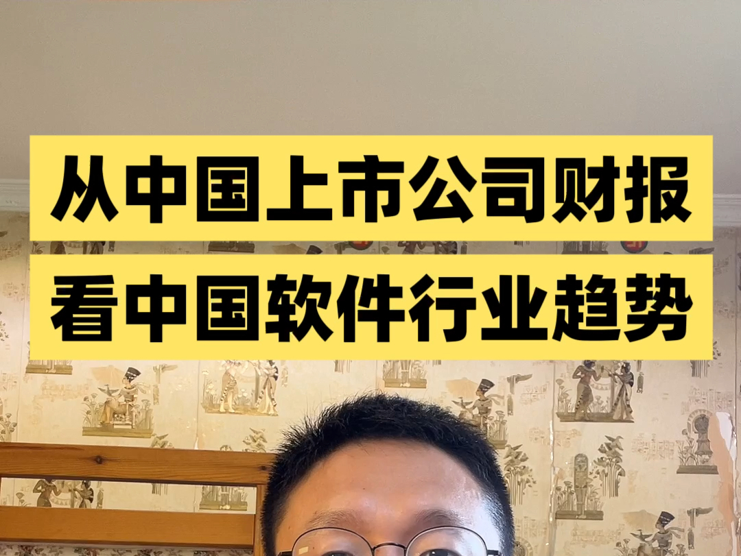 从 5000 家上市公司财报,看中国软件行业的未来哔哩哔哩bilibili