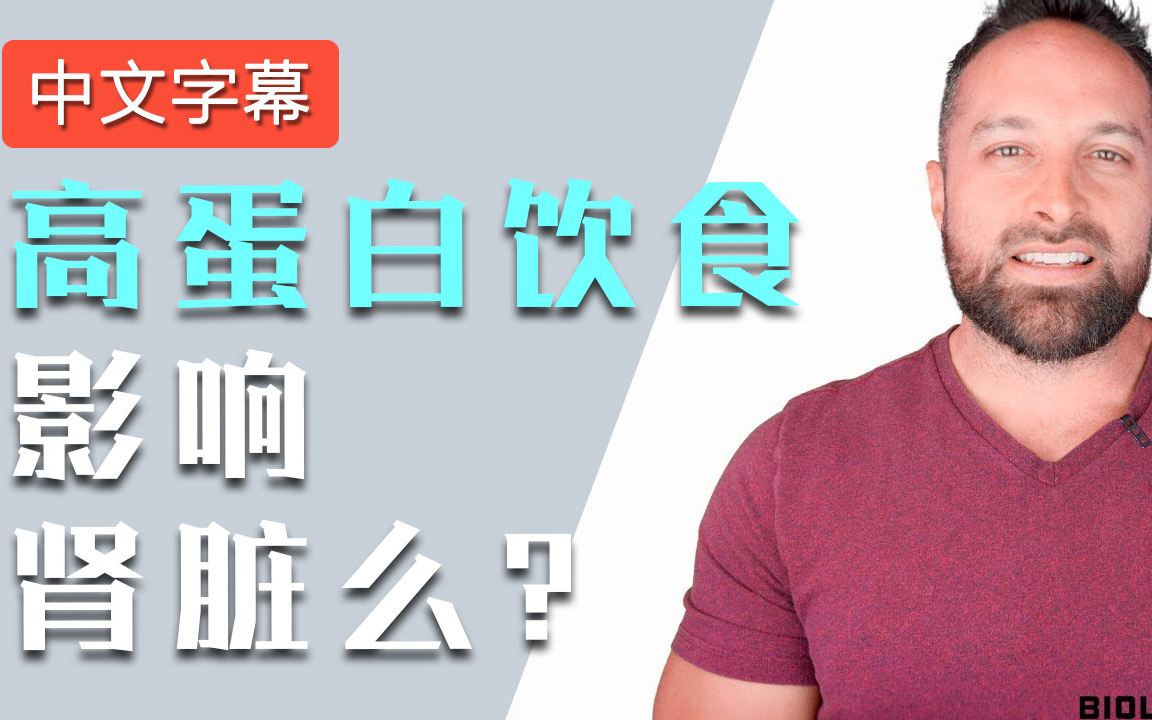 蛋白质与肾脏 | 中文字幕哔哩哔哩bilibili