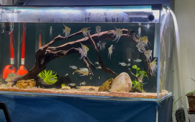 浑身都是gan的个人空间 哔哩哔哩 Bilibili