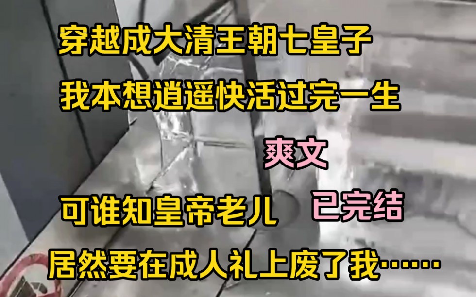 穿越成大清王朝七皇子,我本想逍遥快活过完一生,可谁知皇帝老儿居然要在成人礼上废了我……哔哩哔哩bilibili