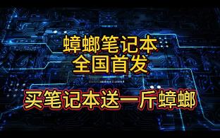 蟑螂笔记本全国首发 生物与电子的结合 共创 生物电子智慧哔哩哔哩bilibili