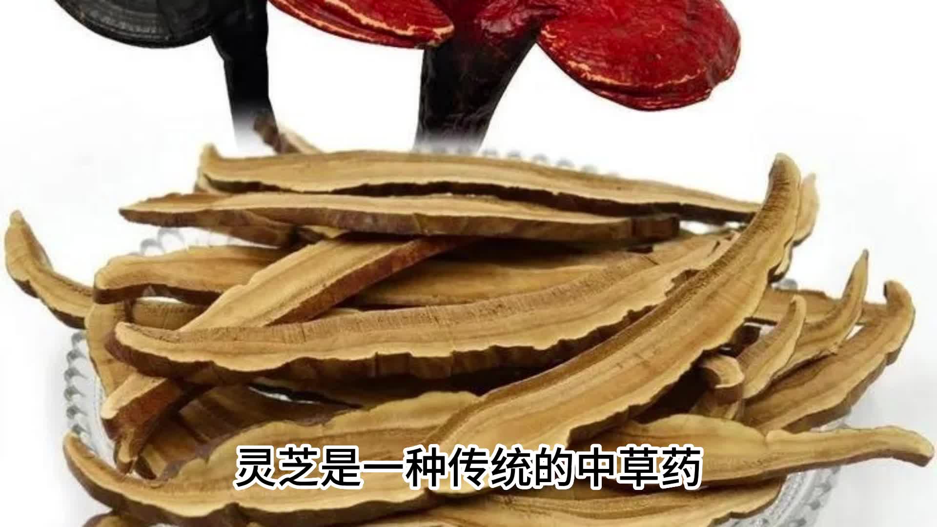 灵芝泡水喝的七大禁忌,灵芝泡水喝的功效哔哩哔哩bilibili