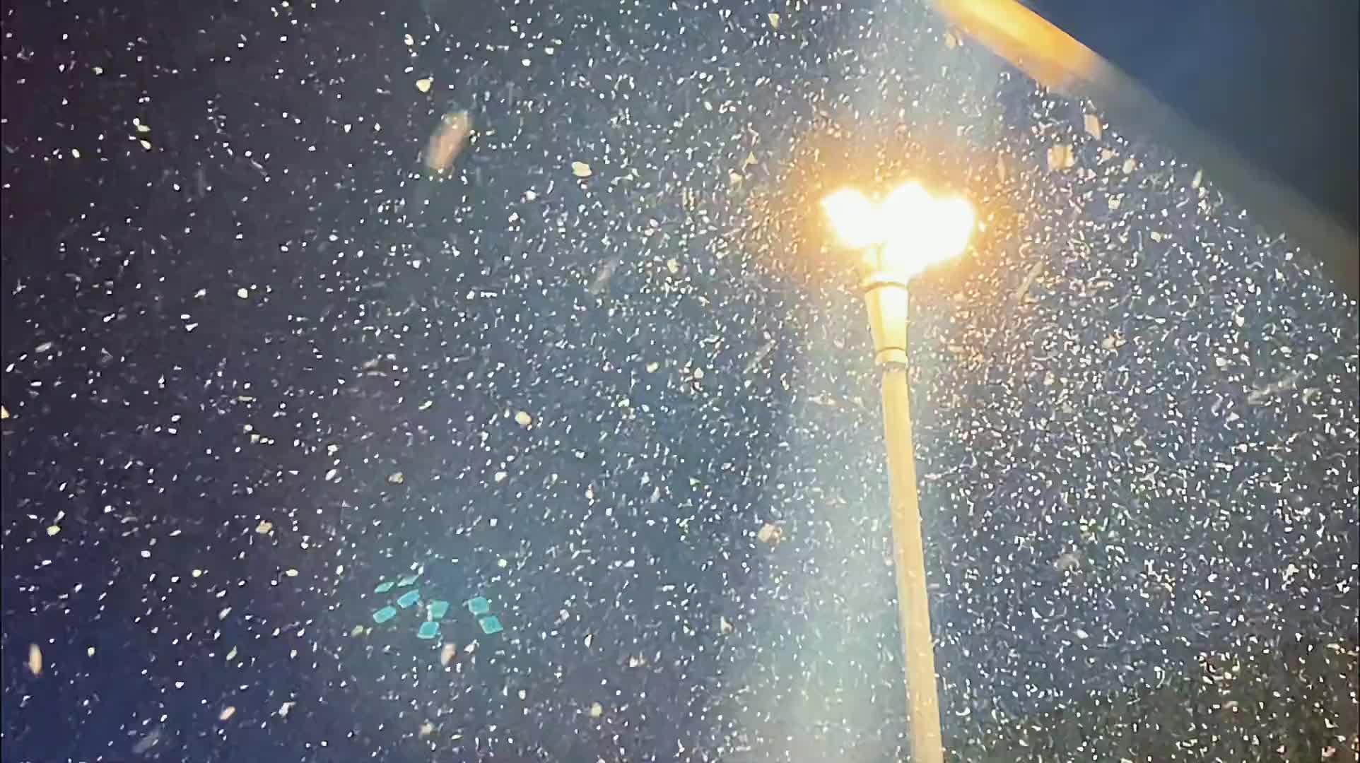 2023第一场雪张万森下雪了小年初雪有浪漫到我咯你那里下雪了