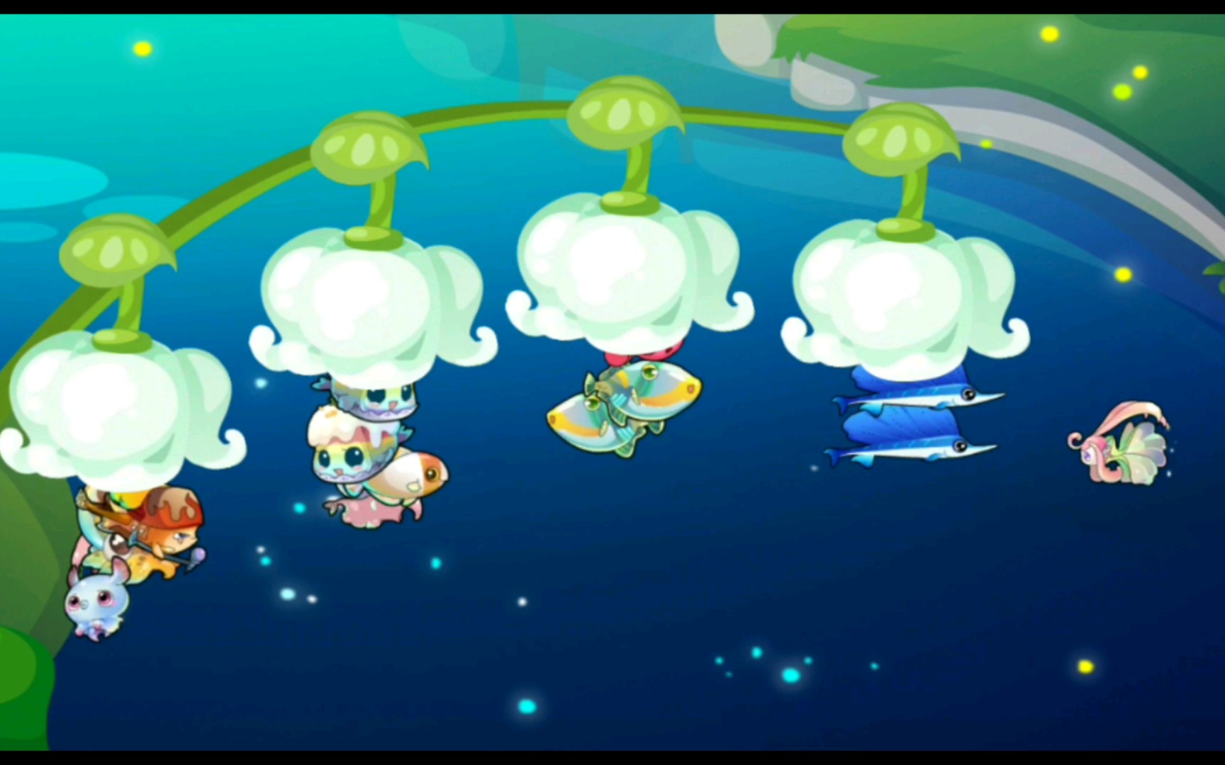 《开心水族箱》日常22.12.29